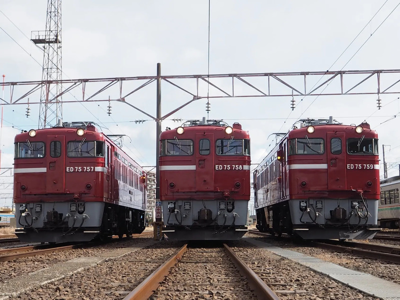 ED75交流電気機関車の撮影会が仙台車両センターで開催！ | JREメディア
