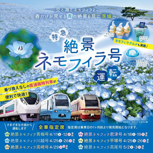 【2026年春】ネモフィラ鑑賞なら国営ひたち海浜公園へ — 見頃・アクセス・おすすめ情報