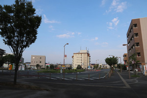 【茨城県】県南エリア観光モデルコース｜世界最大級の仏像や自然を楽しむおすすめコースをご紹介