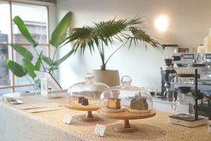 【館山カフェ2026】最新！館山でおすすめのカフェをご紹介♪