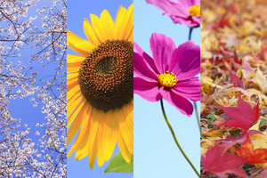 【2025年版】二十四節気とは？二十四節気一覧・読み方・季節の過ごし方を簡単に解説！