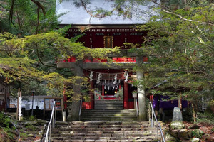 本当に涼しい避暑地はココ！北茨城編【避暑旅】