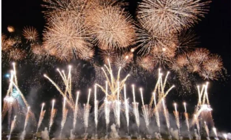 ぎふ長良川花火大会指定席チケット2枚 ぎふ長良川花火大会の有料自由席レビュー：無料席との違いと見え方を