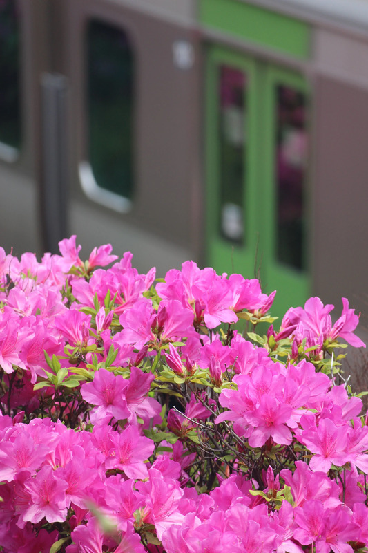 retina_70_池袋統括センター乗務