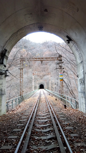 【群馬県安中市】碓氷峠の廃線跡を歩く「廃線ウォーク」の体験レポート【旧信越本線横川駅～軽井沢駅間】