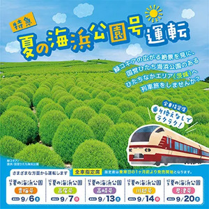 【2025年夏】国営ひたち海浜公園の緑コキアの見頃は?アクセスに便利な「特急夏の海浜公園号」を運転