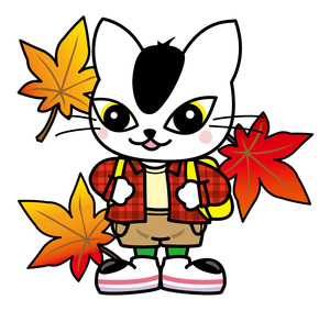 🍁天高き、秋の高尾山へ！「常磐高尾号」で紅葉ハイキング