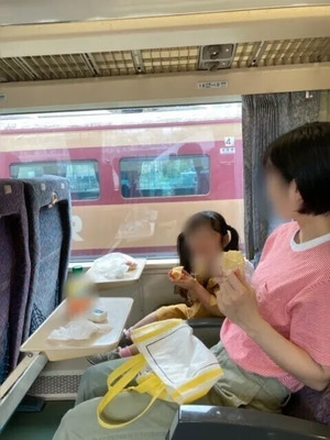 大宮の鉄道博物館でのランチは子連れで楽しく！旅行気分を味わえるランチトレインや駅弁、レストランまで！