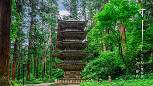 2026年7月～9月山形庄内夏の観光キャンペーン開催｜JRイベント情報まとめ