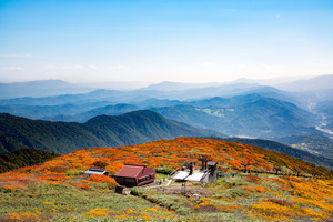 Sacred Peaks and Coastal Flavors of Shonai