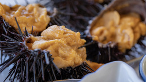 北海道はウニの聖地！JREふるさと納税で手に入る3品を紹介！