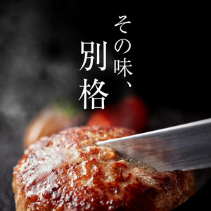 格之進｜冷凍ハンバーグをふるさと納税でおトクに賢く手に入れよう！