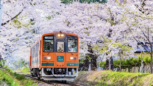 旅行に便利な新幹線＋ホテルのパック商品「ダイナミックレールパック」｜ふるさと納税でさらにおトクに！