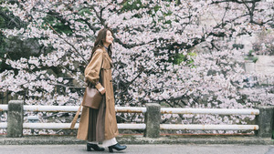 お花見コーデのポイントとは？やっちゃいけない3つのNGも解説！