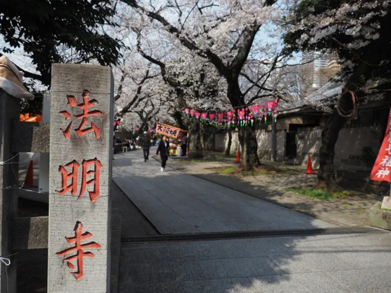 雑司が谷鬼子母神堂(法明寺),花見スポット,東京花見