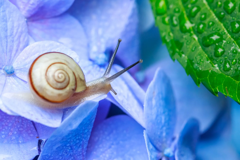 6月のイメージ画像