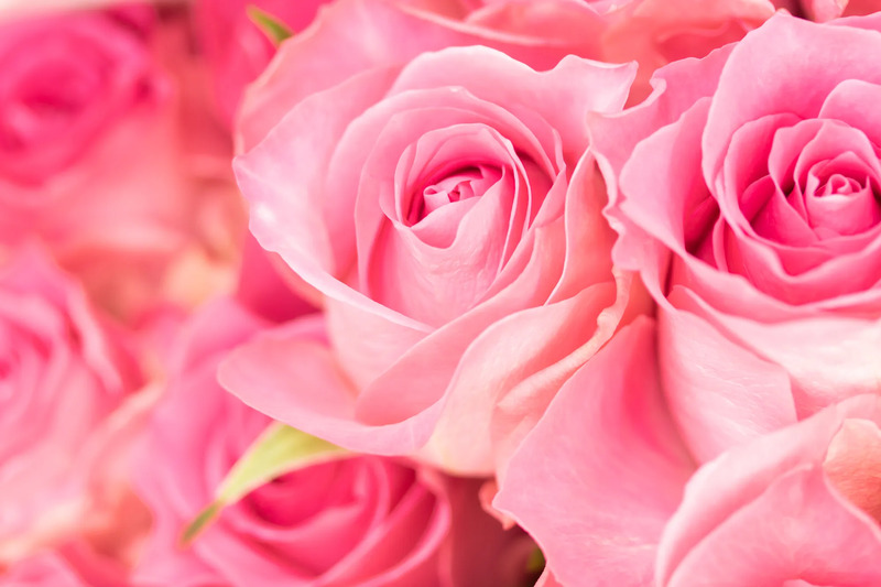 6月のイメージ画像