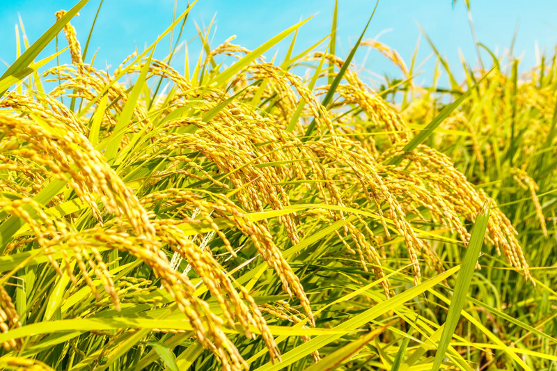 10月のイメージ画像