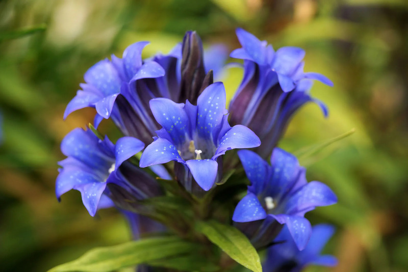 10月のイメージ画像