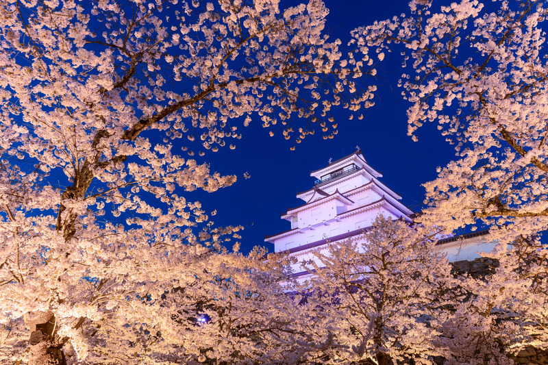 福島 観光 桜 モデルコース