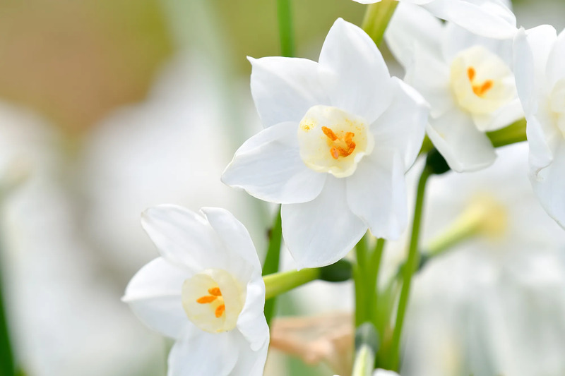 1月のイメージ画像