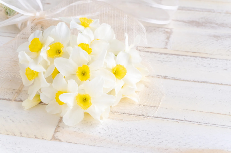 1月のイメージ画像