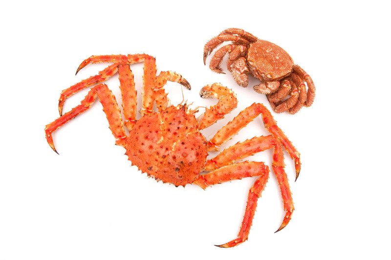 「カニ」のイメージ画像