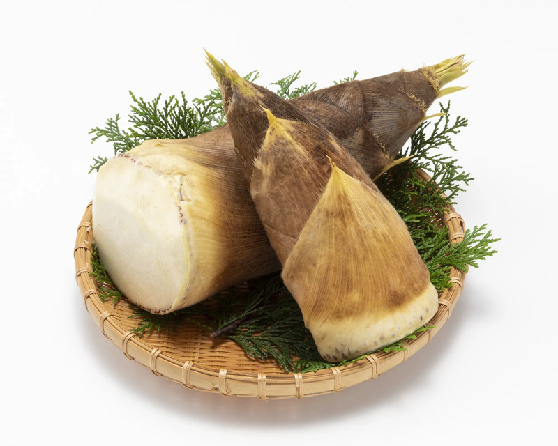 「二十四節気」のイメージ画像