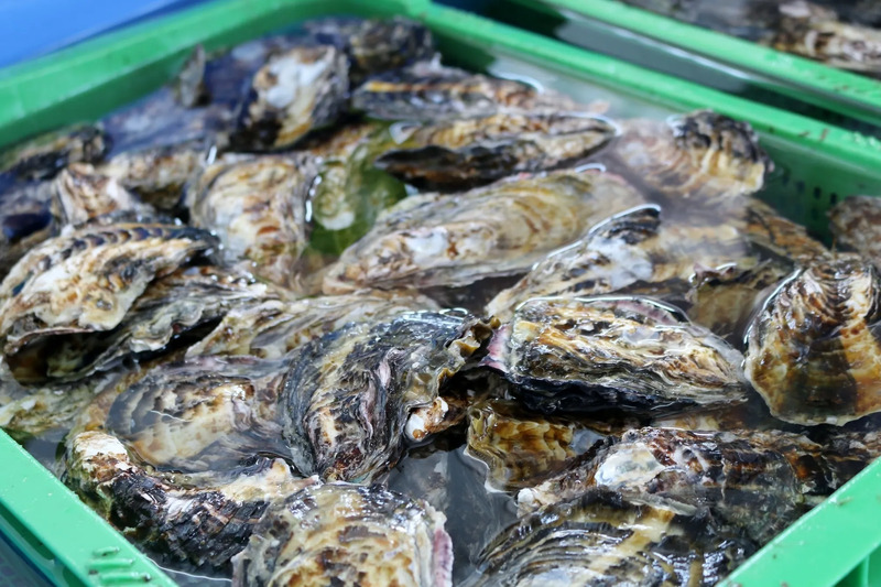 「牡蠣」のイメージ画像