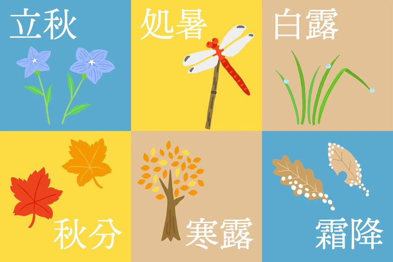 「8月」のイメージ画像