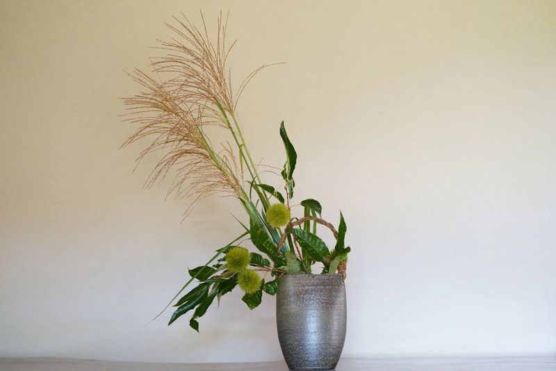 立秋に楽しむ秋の七草