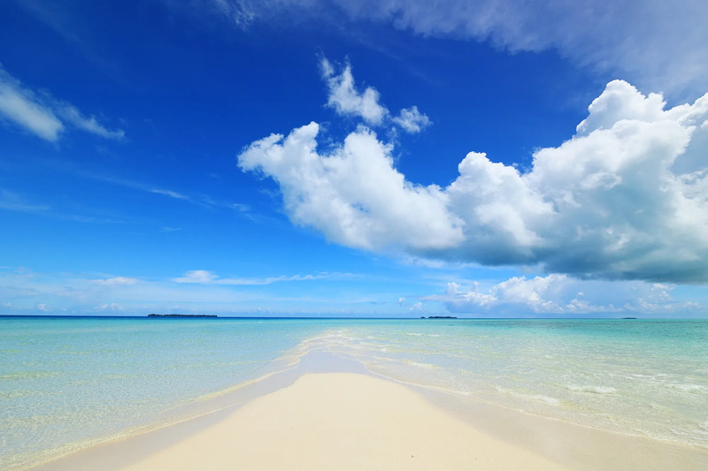 「夏至」のイメージ画像