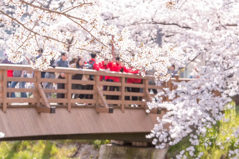 「春分の日」のイメージ画像