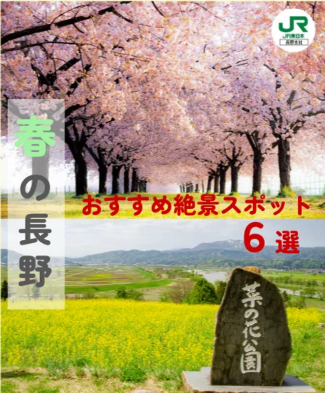 リール動画サムネイル