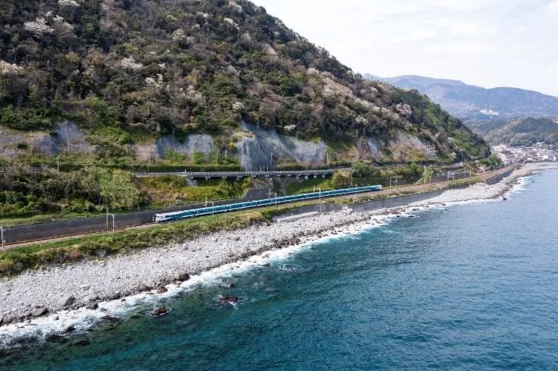 下田 あじさい祭号,あじさいまつり,下田 あじさい,あじさい 公園,