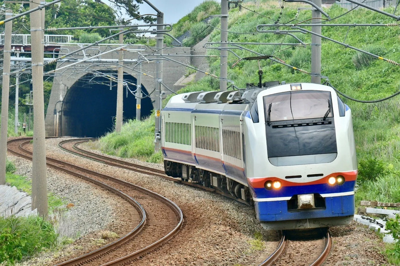 特急しらゆき号:社員撮影