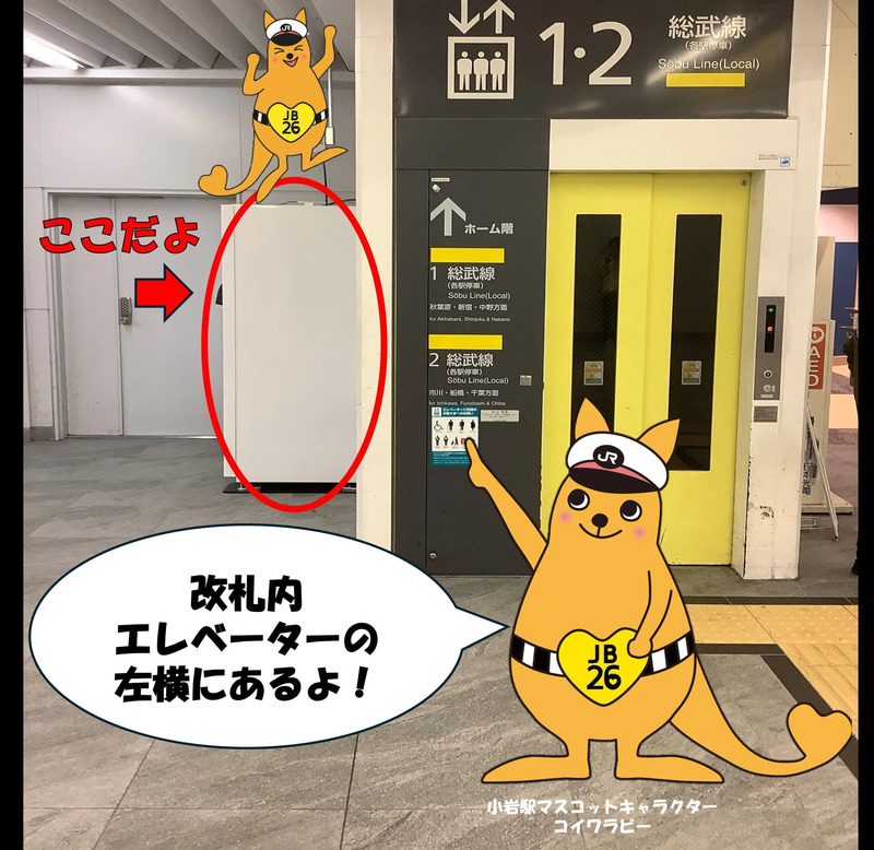 小岩　自販機　コンビニ