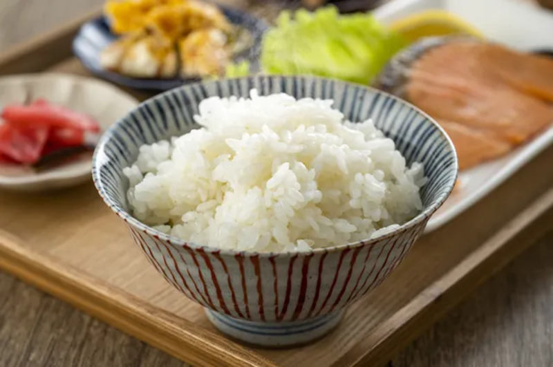 まきうめ様【山形県産】湯田川孟宗　10kg まきうめ様【山形県産】湯田川孟宗 10kg 楽天市場】 ◇湯田川孟宗 :