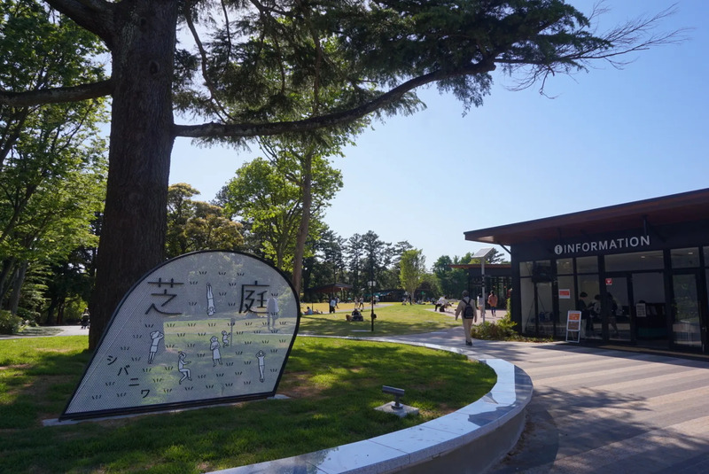千葉公園・芝庭