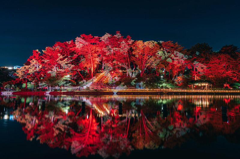ライトアップされた千葉公園