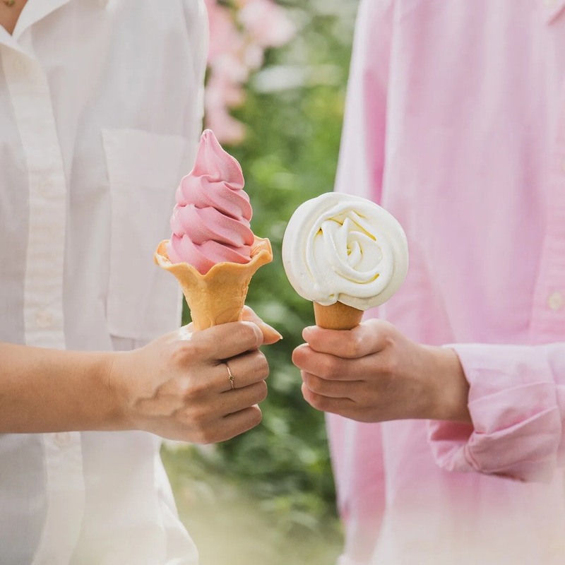 いばらきフラワーパーク バラのソフトクリーム