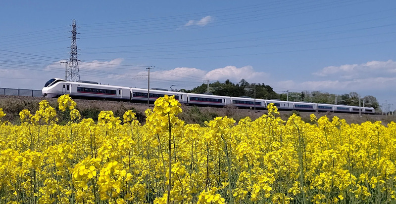 特急ひたち・ときわラスト