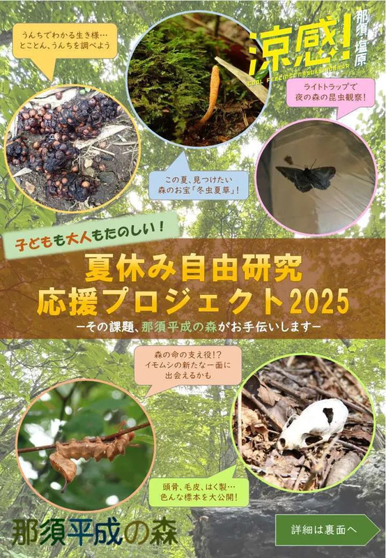 夏休み自由研究1