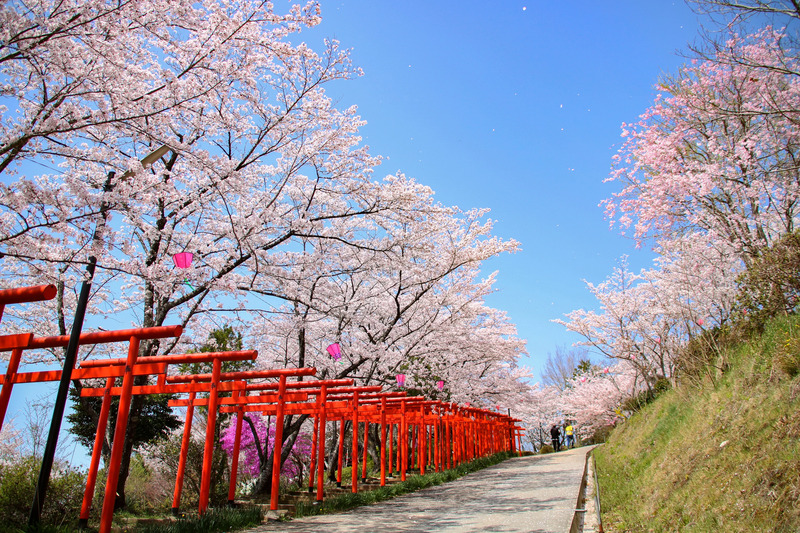 丸高稲荷神社 和歌山県橋本市ふるさと納税