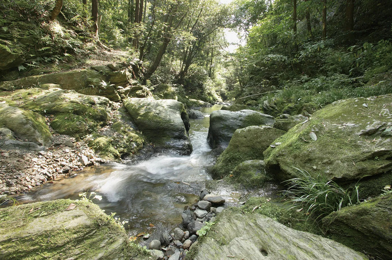 飛び越え石 和歌山県橋本市ふるさと納税