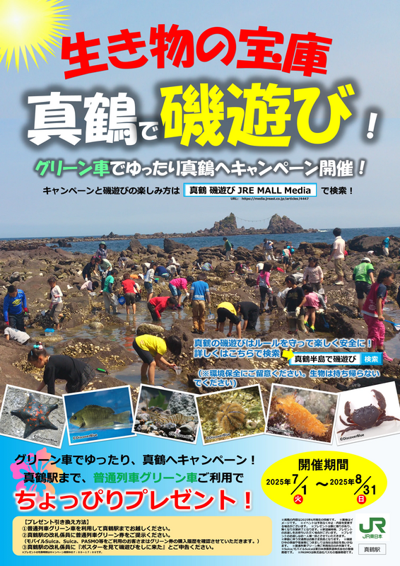 真鶴で磯遊び!グリーン車でゆったり真鶴へキャンペーンポスター