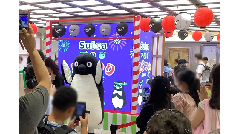 2024年スイカのペンギン撮影会の様子