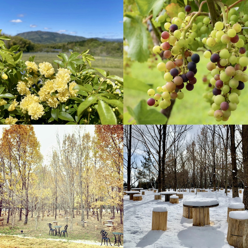 いわきワイナリー