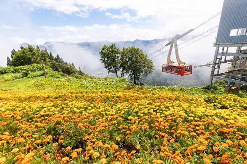 湯沢高原ロープウェイ(画像提供:湯沢高原)