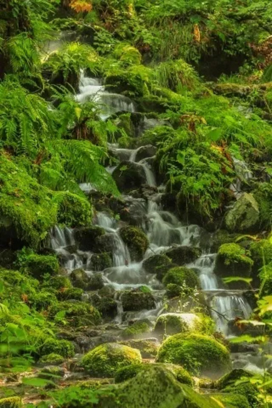 青森県 奥入瀬渓流